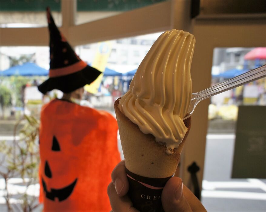 ブログ画像