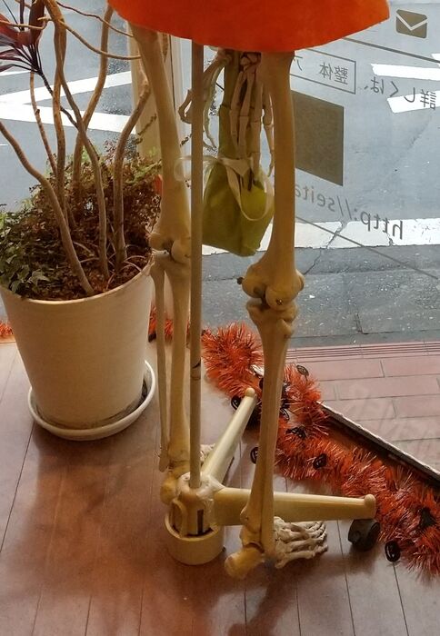 ブログ画像