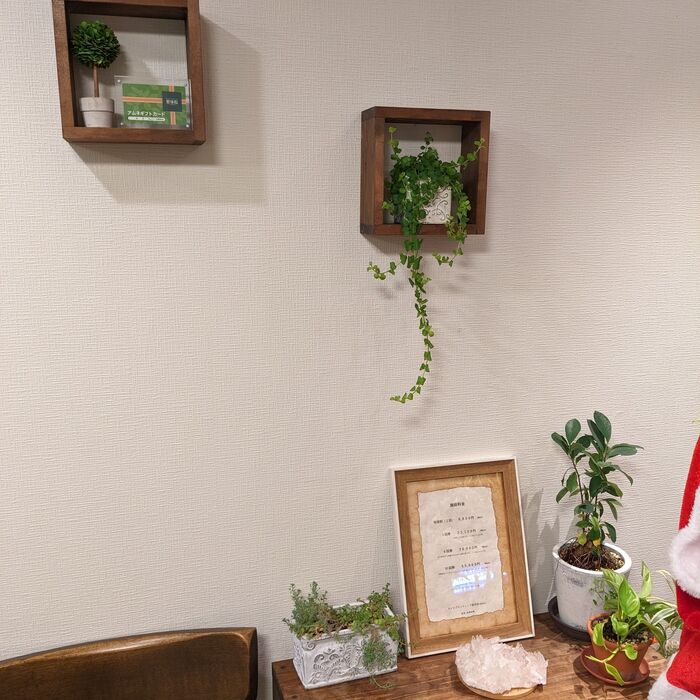 ブログ画像