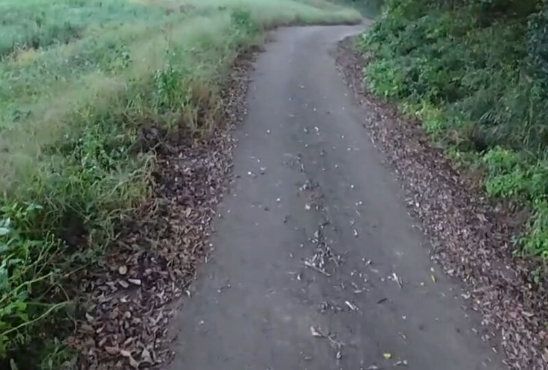 動画サムネイル