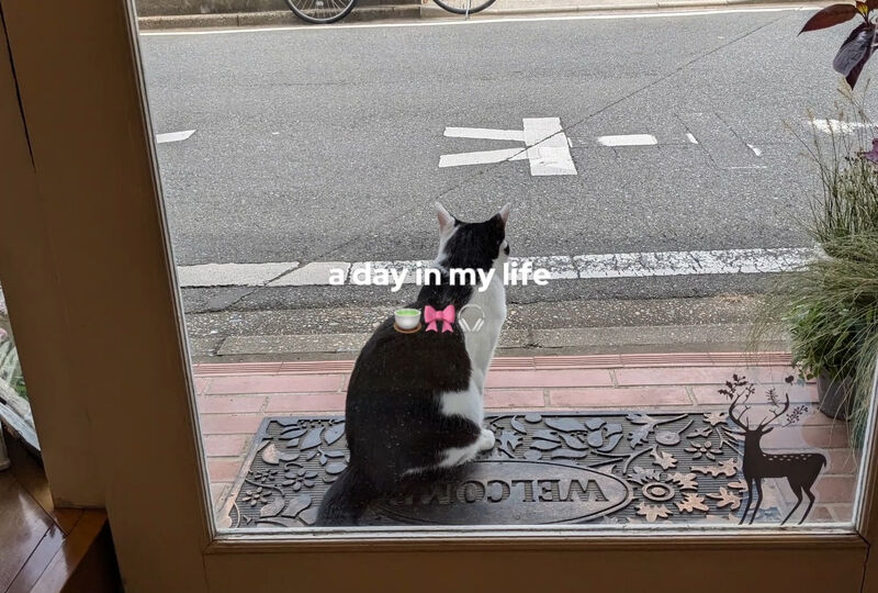 動画サムネイル