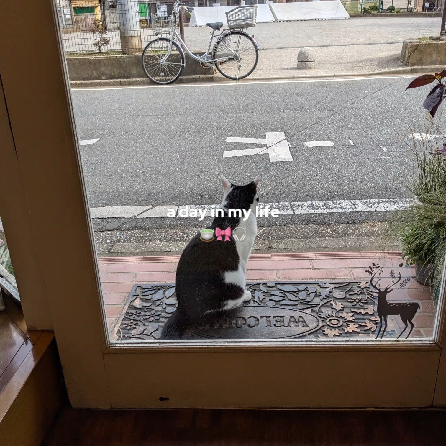 画像21226
