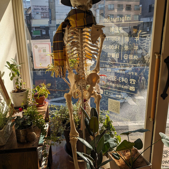 ブログ画像