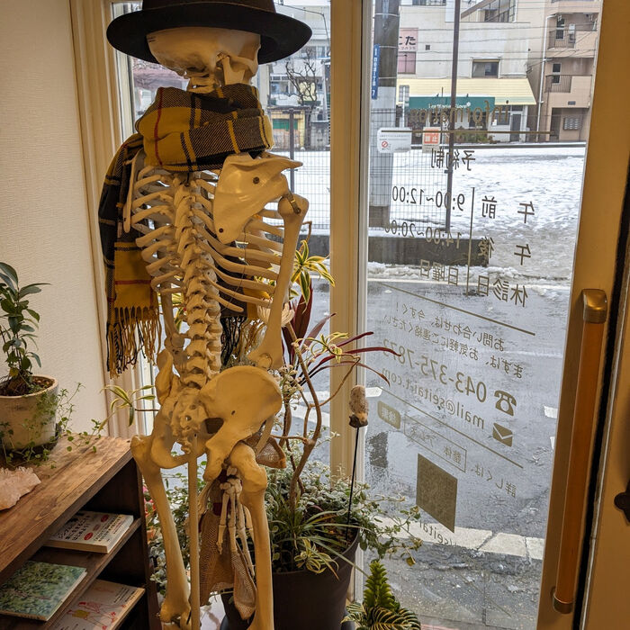 ブログ画像
