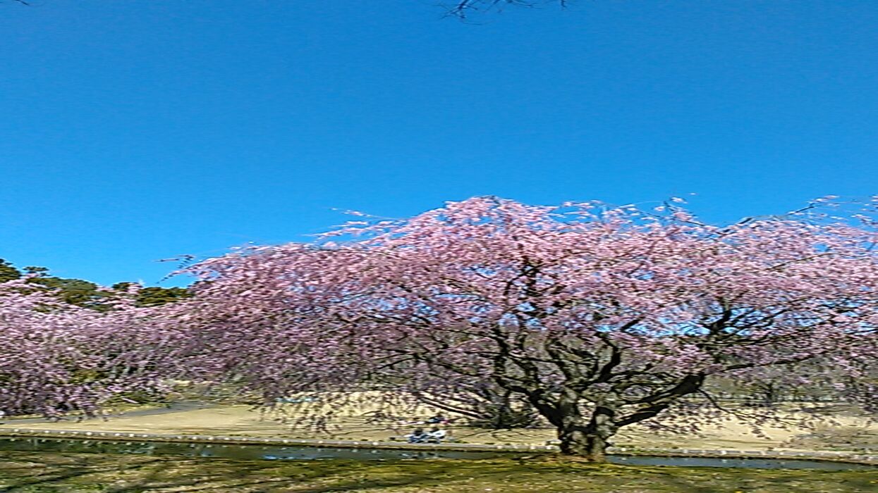 ブログ画像