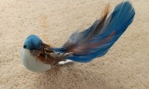 四街道　青い鳥　整体　腰痛　肩こり