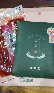 四街道市　整体　カイロプラクティック　腰痛　肩こり