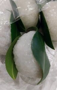 椿餅